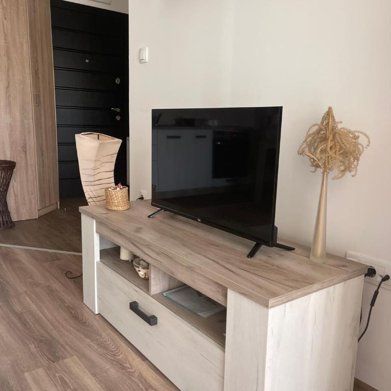 Apartmani Milić Banja Koviljača - Apartman sa 1 Spavaćom Sobom - 37