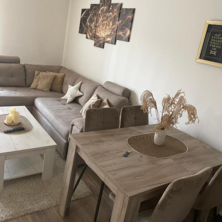 Apartmani Milić Banja Koviljača - Apartman sa 1 Spavaćom Sobom - 36