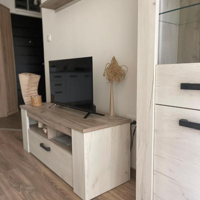 Apartmani Milić Banja Koviljača - Apartman sa 1 Spavaćom Sobom - 38