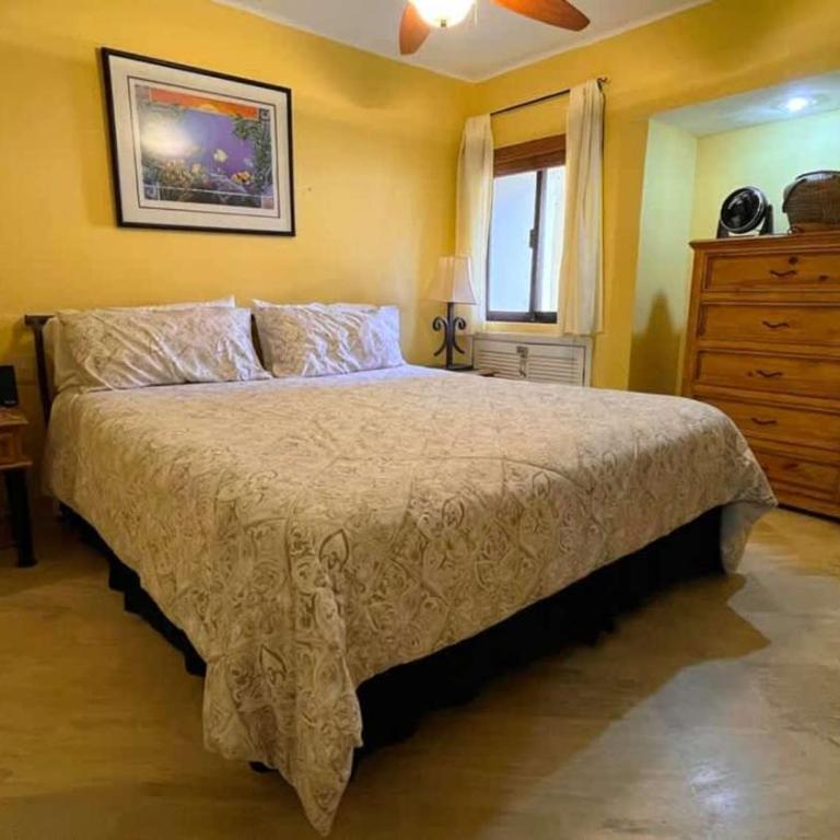 Cozy Ground Level Condo near Pool Pinacate 112 - Apartamento - 15