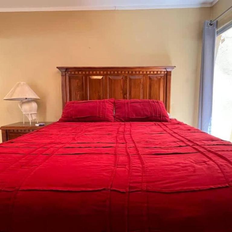 Beautiful Beachfront Condo Las Olas II 11 - Apartment - 11