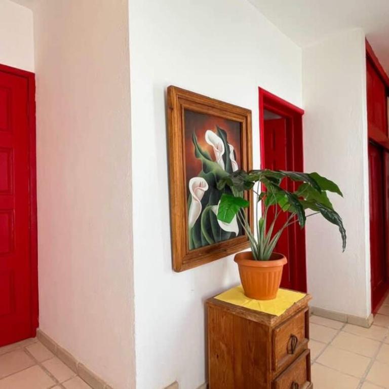 Warm & Charming Beachfront Condo Las Olas II 8 - Apartment - 19