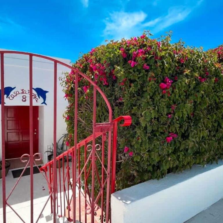 Warm & Charming Beachfront Condo Las Olas II 8 - Apartment - 21