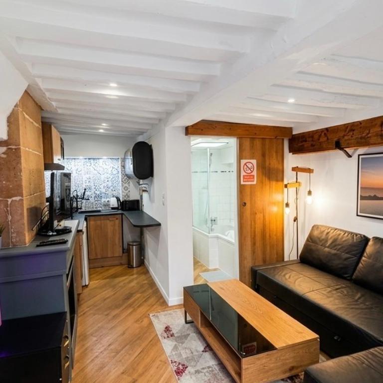 L 'iris, studio Hyper-centre, rue Arcisse de caumont, nouvelle equipe d entretien - One-Bedroom Apartment - 1