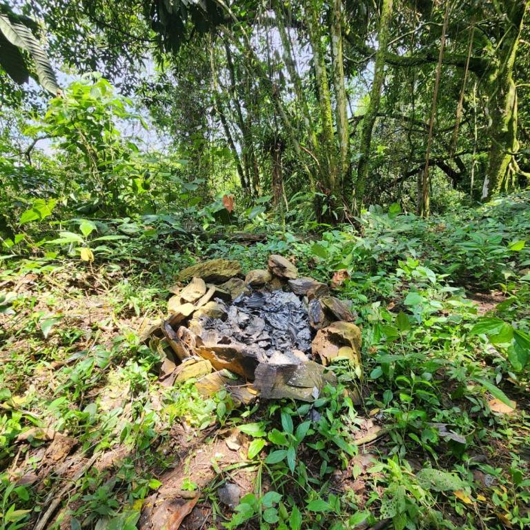 VÖRA Cabaña privada en la Selva - Apartamento de 1 dormitorio - 28