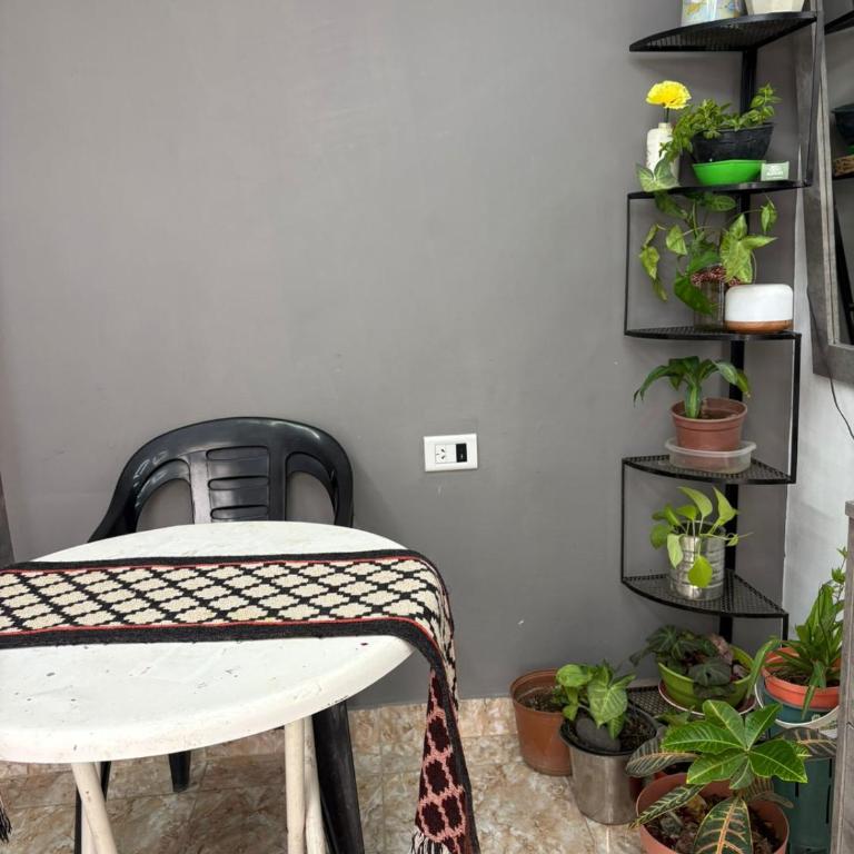 Micelio-departamentos diarios NeuQuen - One-Bedroom Apartment - 2