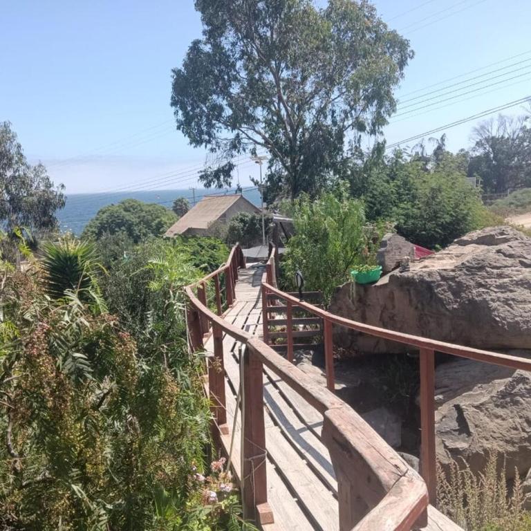 Ocean View, Pool and Tranquility - Vacation Home - 15