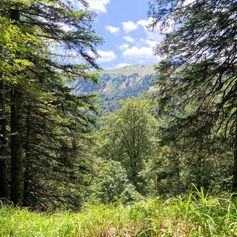 Vila Jahor Apartman 18 Jahorina - Apartman sa 2 Spavaće Sobe - 10