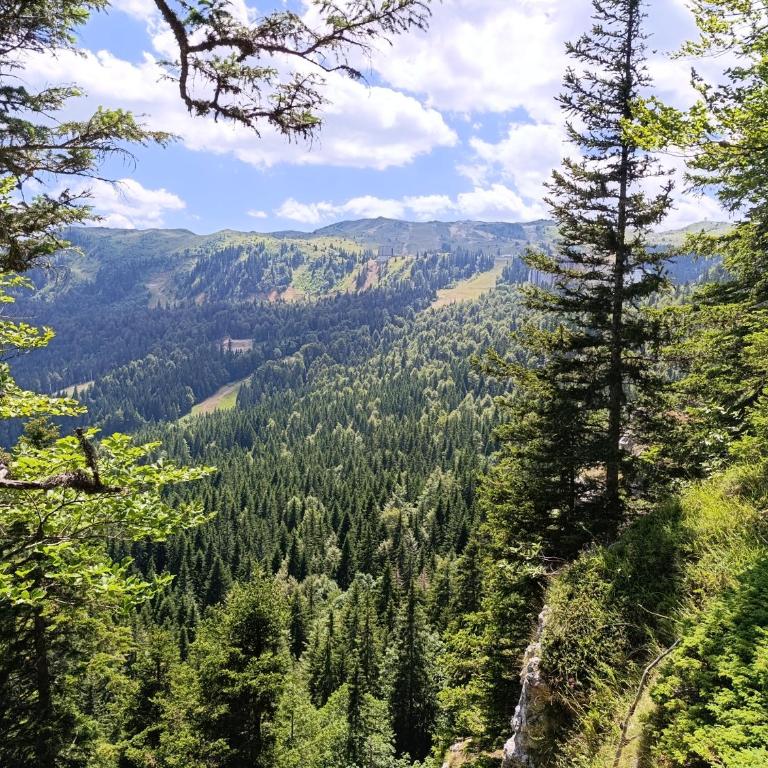 Vila Jahor Apartman 18 Jahorina - Apartman sa 2 Spavaće Sobe - 67