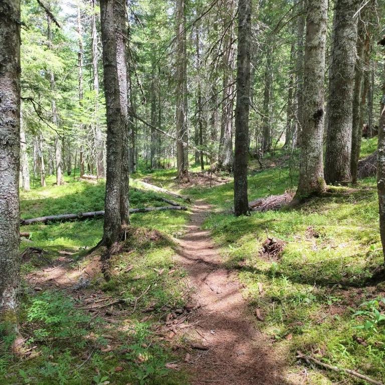 Vila Jahor Apartman 18 Jahorina - Apartman sa 2 Spavaće Sobe - 68