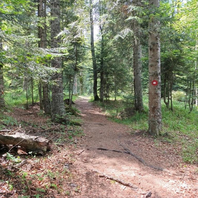 Vila Jahor Apartman 18 Jahorina - Apartman sa 2 Spavaće Sobe - 7