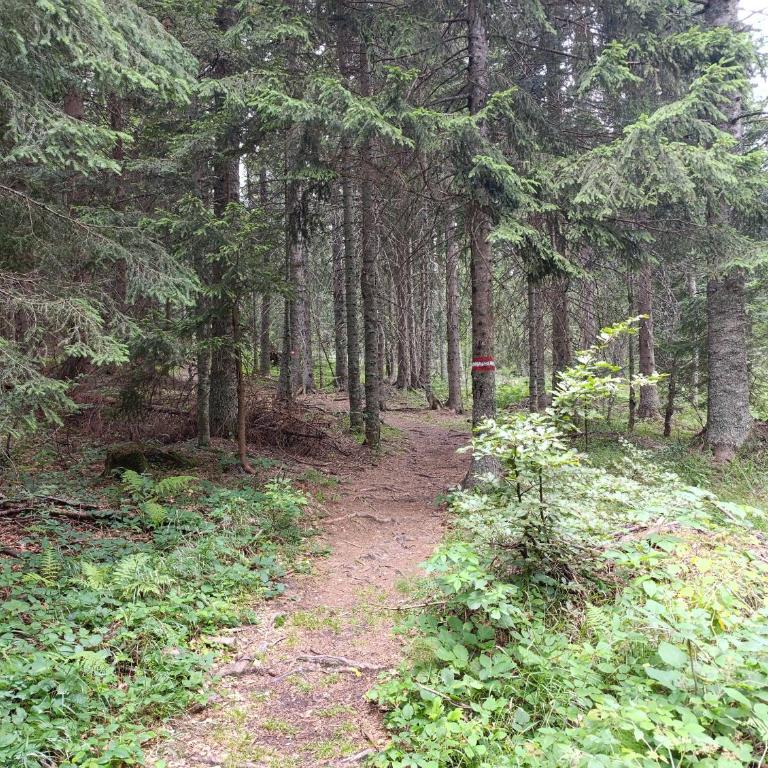 Vila Jahor Apartman 18 Jahorina - Apartman sa 2 Spavaće Sobe - 72