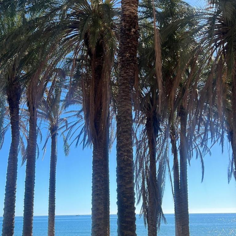 Spiral Beach - Apartamento de 2 dormitorios - 15