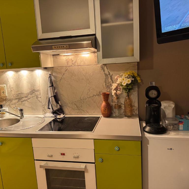 Studio Mulhouse - Apartment mit 1 Schlafzimmer - 10