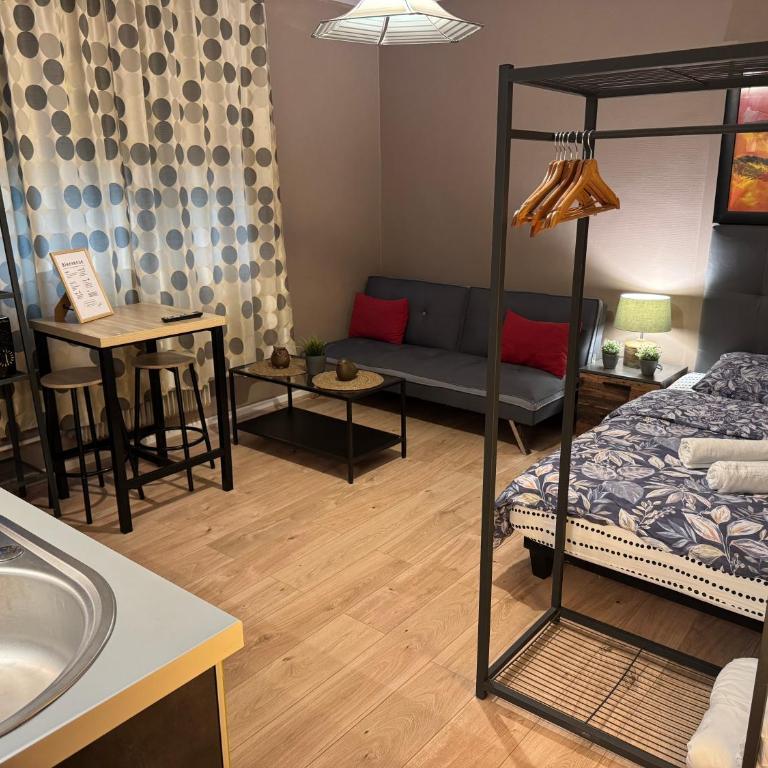 Studio Mulhouse - Apartment mit 1 Schlafzimmer - 15