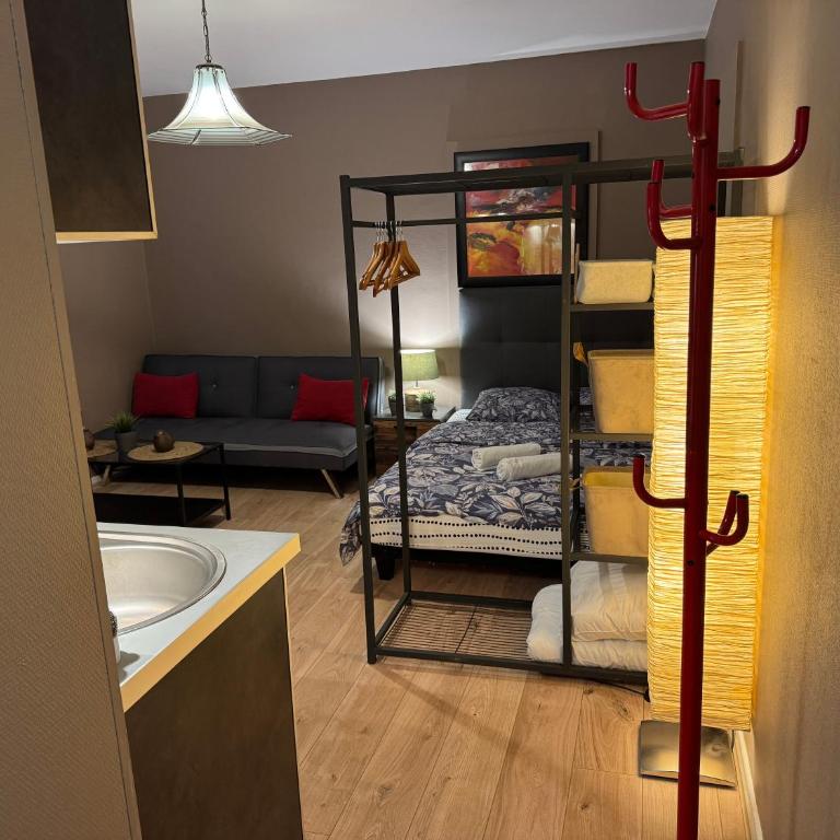 Studio Mulhouse - Apartment mit 1 Schlafzimmer - 14