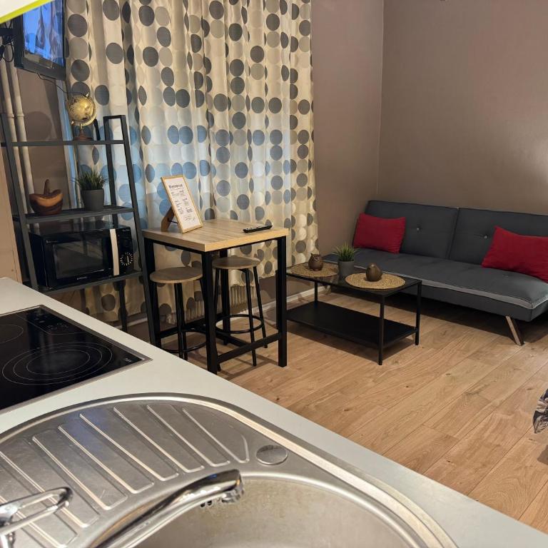 Studio Mulhouse - Apartment mit 1 Schlafzimmer - 17