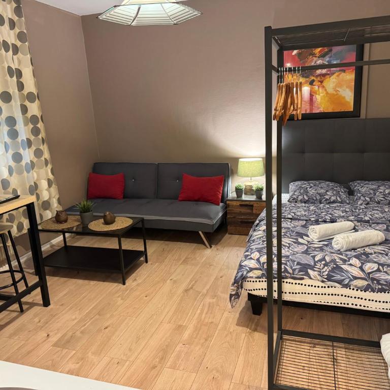 Studio Mulhouse - Apartment mit 1 Schlafzimmer - 12
