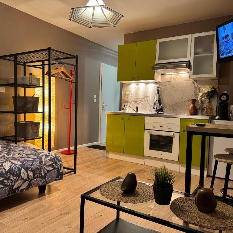 Studio Mulhouse - Apartment mit 1 Schlafzimmer - 1