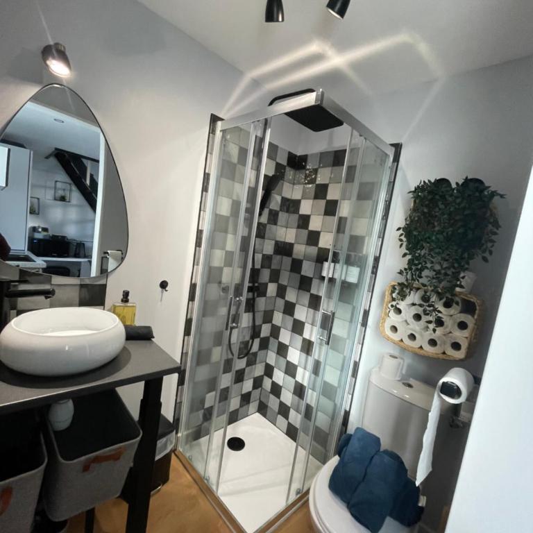 Appartement proche Zenith & Polyclinique - Appartement 1 Chambre - 22