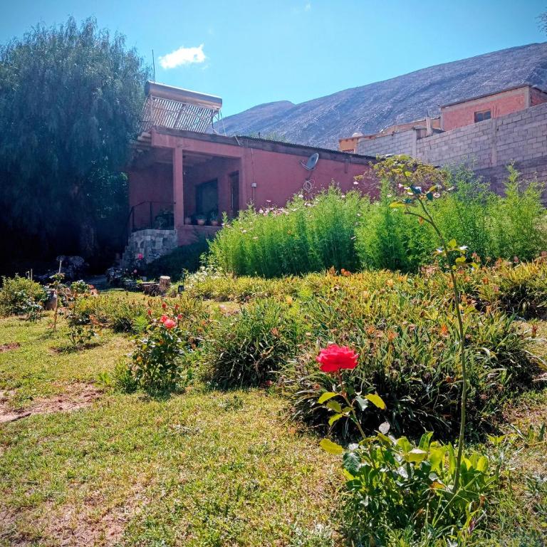 Guasamayo - Apartamento de 1 dormitorio - 3
