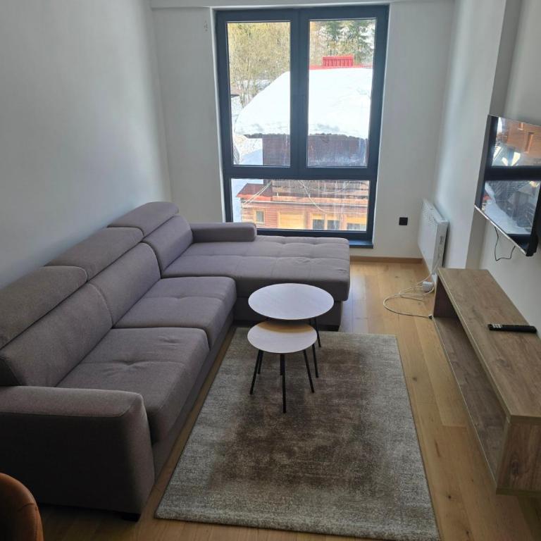 Jahorinska Vila 51 - One-Bedroom Apartment - 3