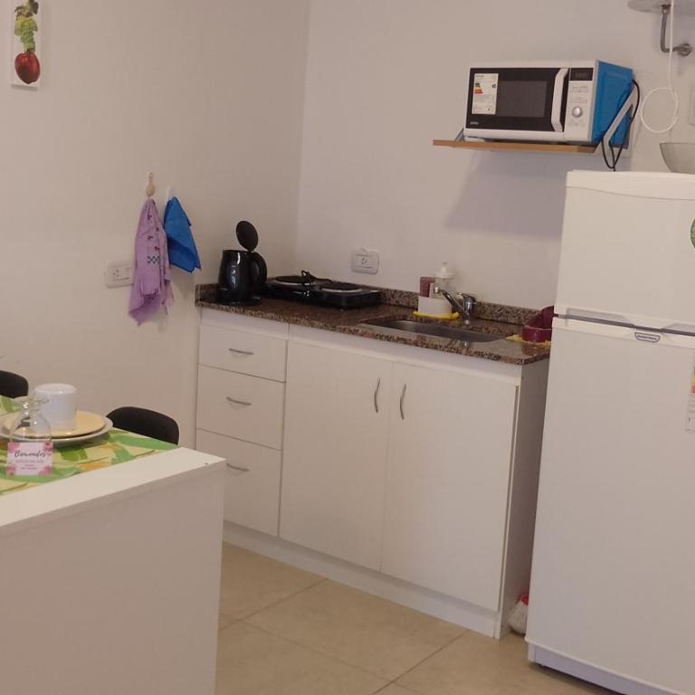 San Jose Termas - Apartamento de 1 dormitorio - 6