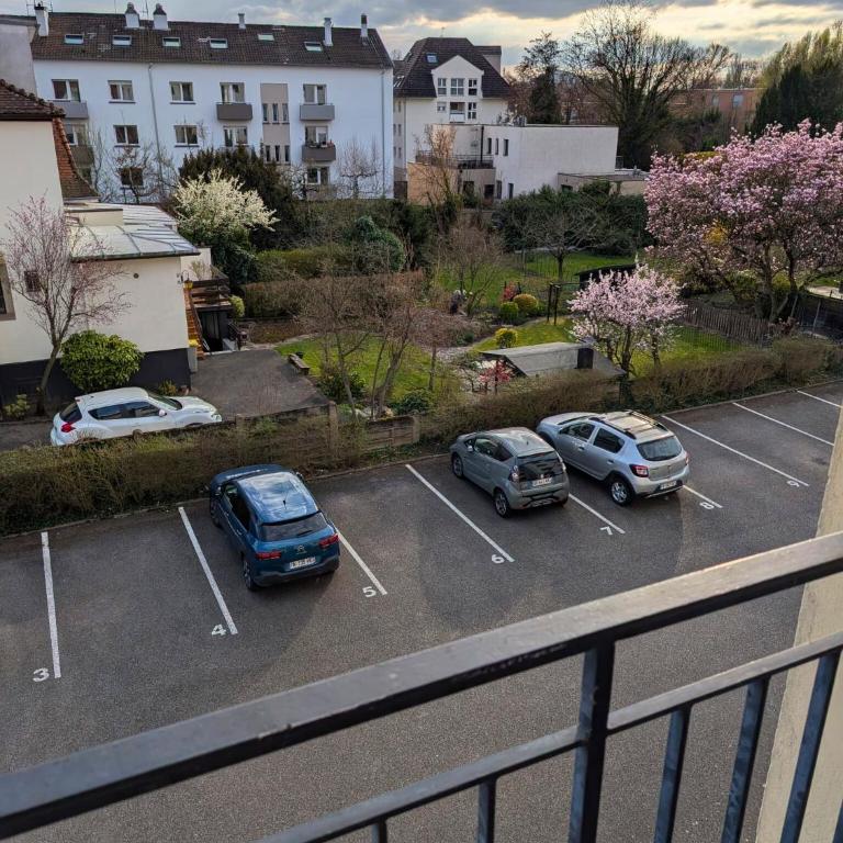 Élégance - Strasbourg - Appartement 2 Chambres - 15