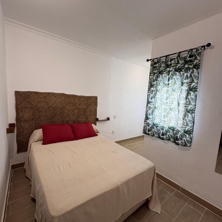 Magallanes 8 - Suite - Triana - - Apartamento de 2 dormitorios - 12