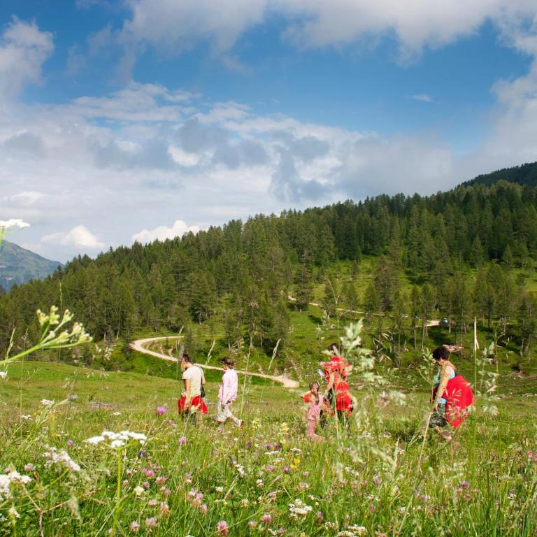 Casa Davide Valdaone - Ferienhaus - 39