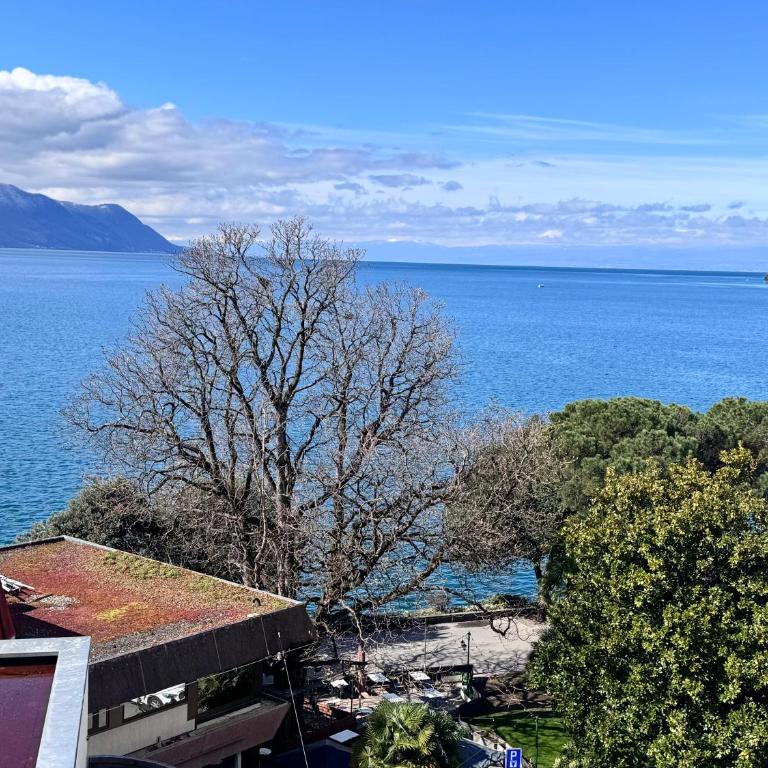 Appart premium vue sur le lac à Montreux - Apartment mit 1 Schlafzimmer - 8