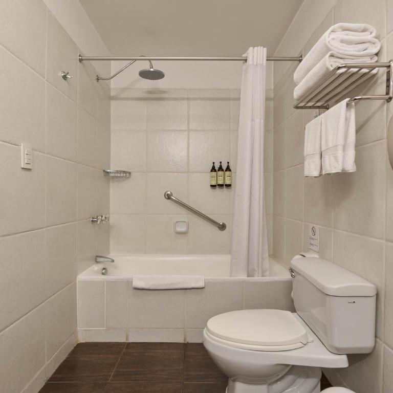 Casa Andina Premium Arequipa - Superior Room - 1