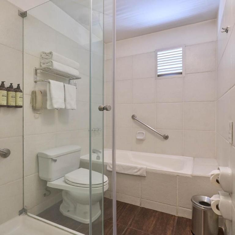 Casa Andina Premium Arequipa - Junior Suite - 5
