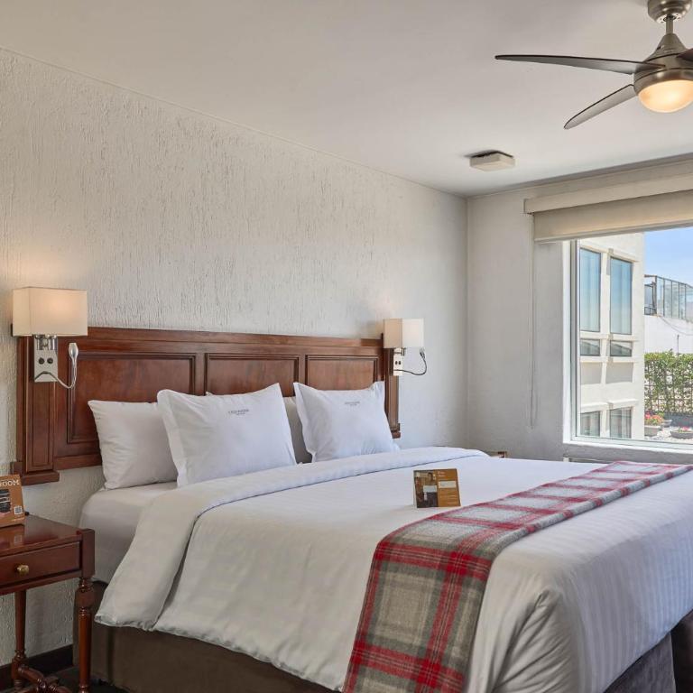 Casa Andina Premium Arequipa - Junior Suite - 3