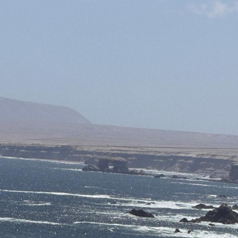 Departamento en Antofagasta - One-Bedroom Apartment - 3