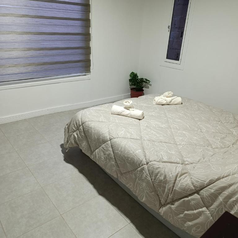 Casa Ruta 3 Río Gallegos - Casa de 2 dormitorios - 14