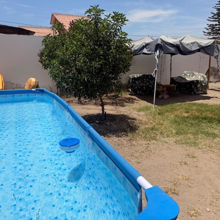 Amplios estacionamientos, gran piscina hasta 20P - Apartment - 5