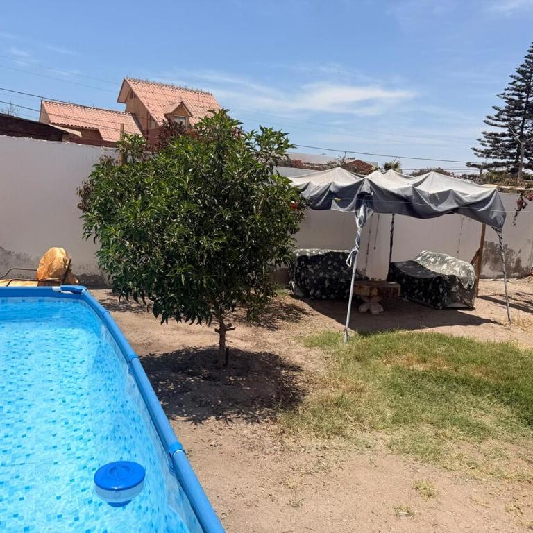 Amplios estacionamientos, gran piscina hasta 20P - Apartment - 21