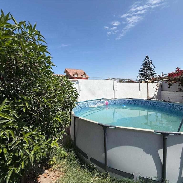 Amplios estacionamientos, gran piscina hasta 20P - Apartment - 38