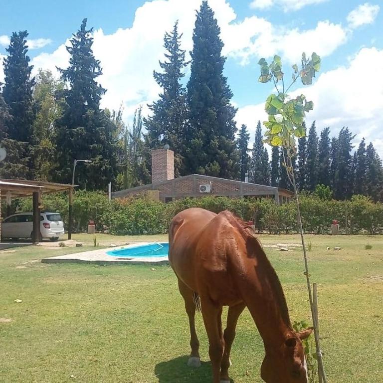 Quinta Las Marías - Cabañas - Chalet de 1 dormitorio - 16