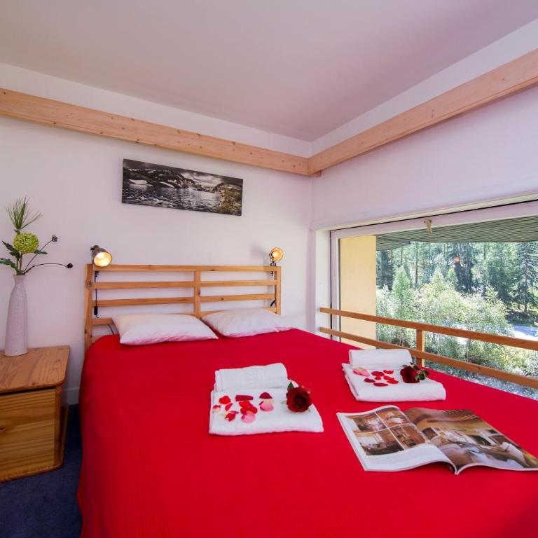 Résidence Grand Roc - Campanules 112 - Happy Rentals - Appartement avec Vue sur la Montagne - 5