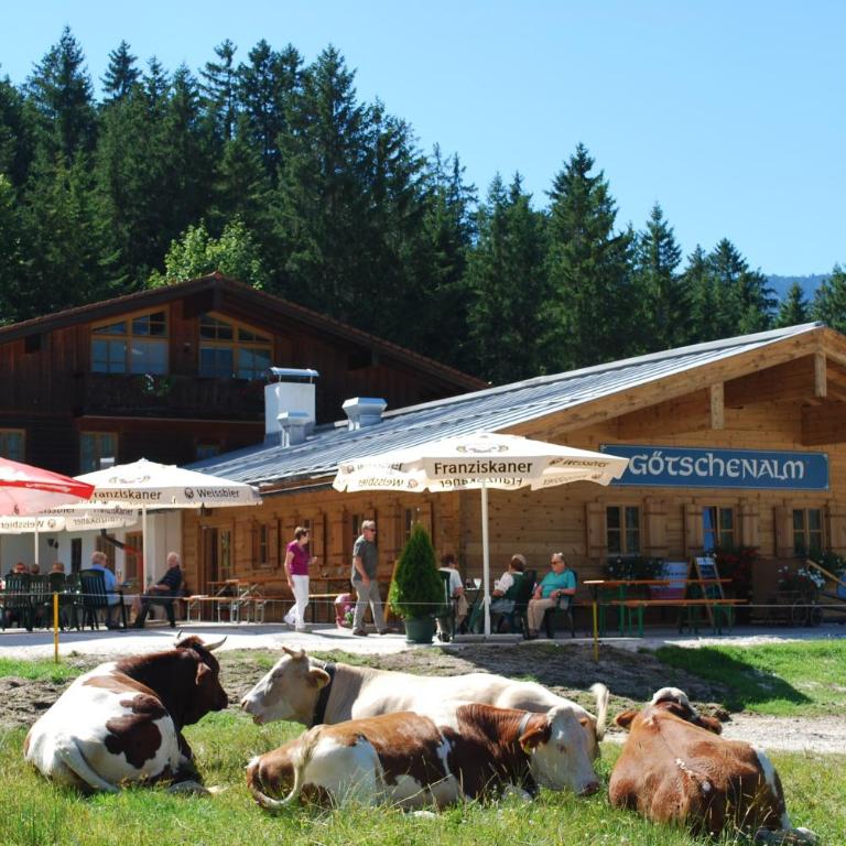 Alpengasthof Götschenalm - Familienzimmer (2 Erwachsene + 2 Kinder) - 1