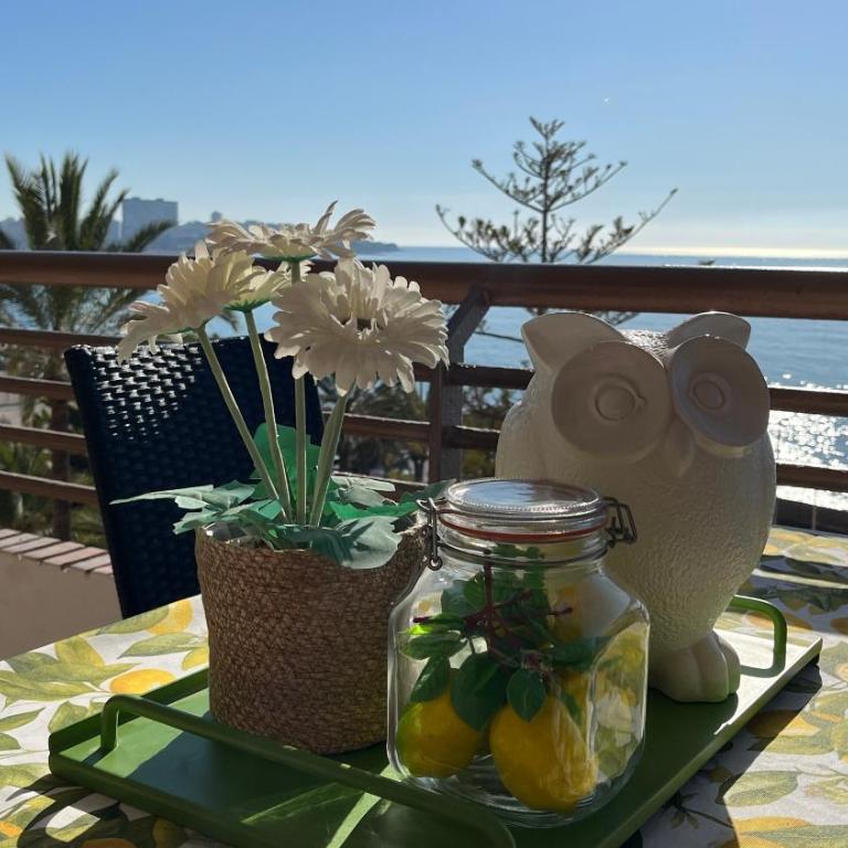 Apartamento en la playa de la Albufera Alicante - Apartment with Sea View - 3
