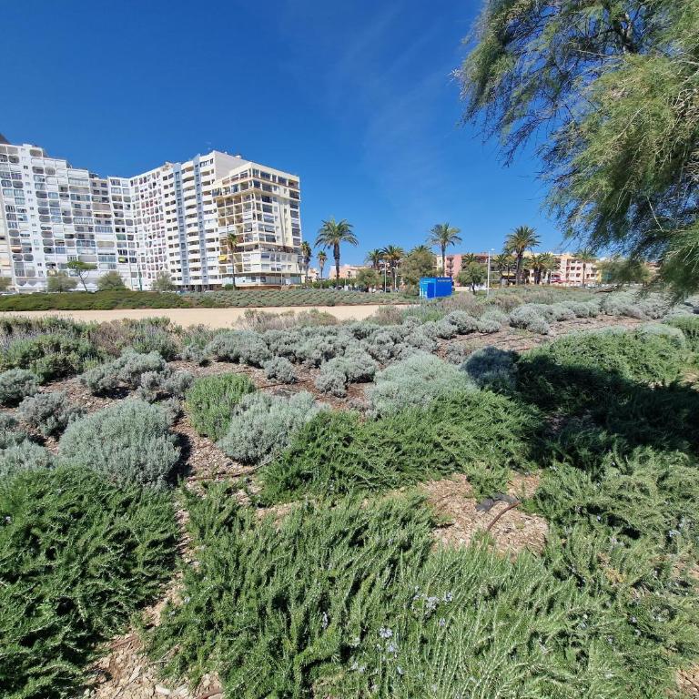 APARTAMENTO ALBATROS BEACH-3 - Apartamento de 1 dormitorio - 20
