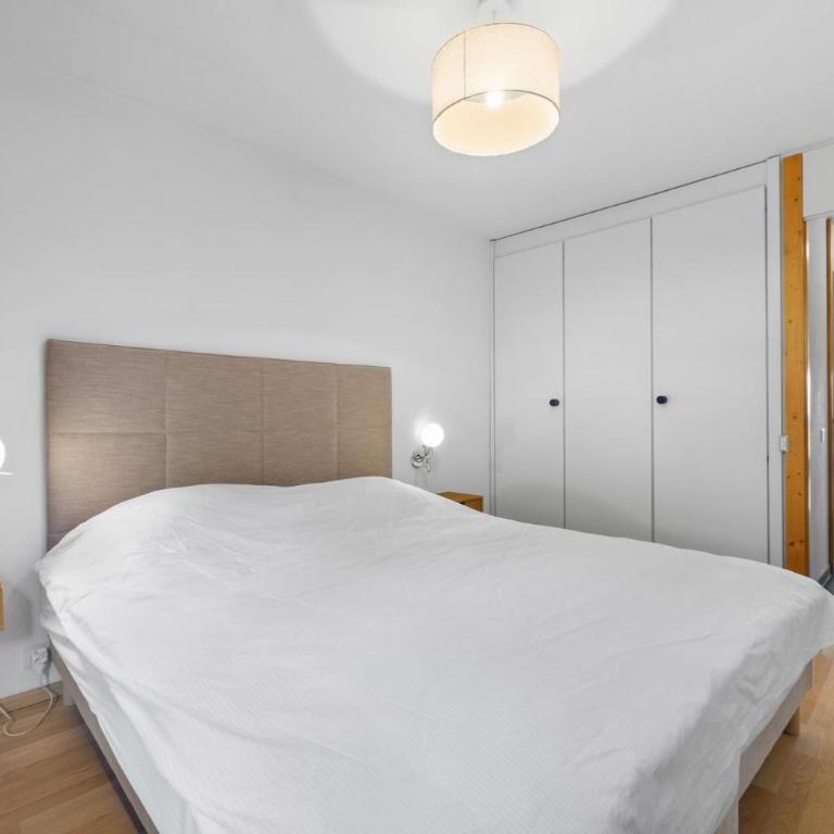 Lion 107 sur la place du Village a Anzere - Apartment - 15