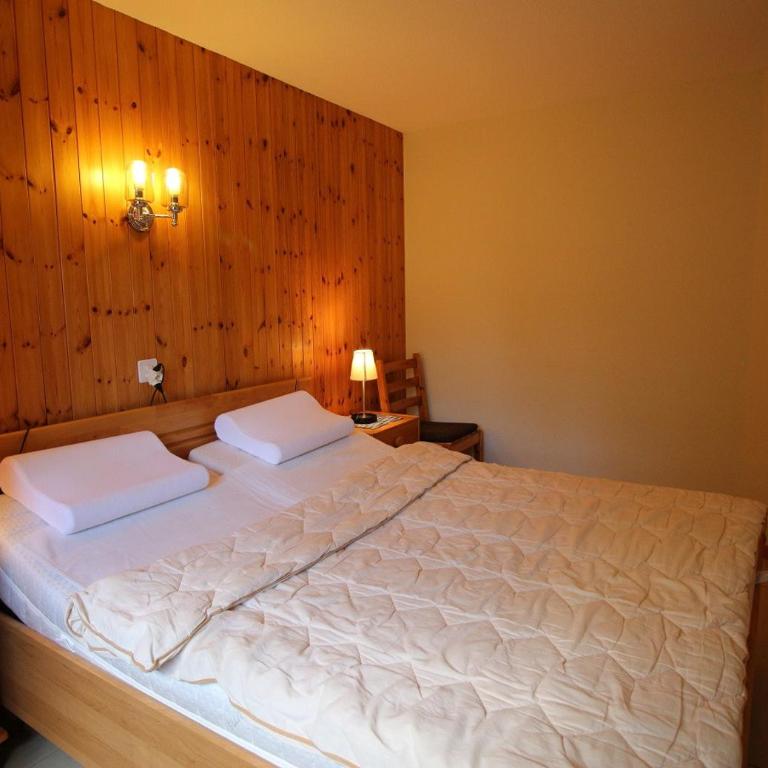 Asters 24 pres de la telecabine a Anzere avec vue sur les Alpes - Apartment - 7