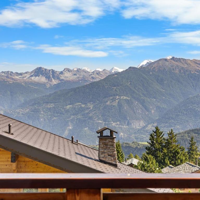 Chalet Campanule a Anzere avec vue sur les Alpes - Chalet - 47