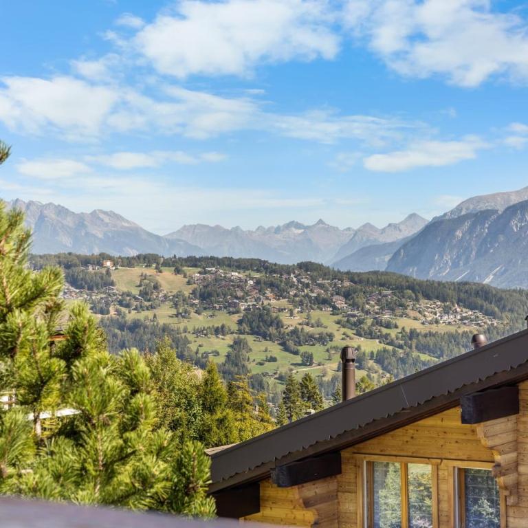 Chalet Campanule a Anzere avec vue sur les Alpes - Chalet - 53