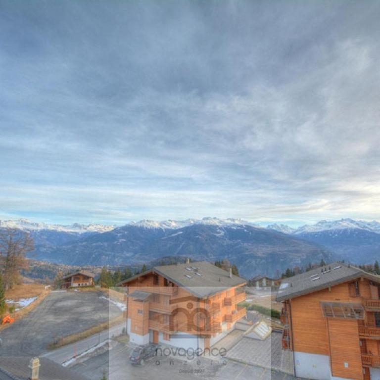 Chateau Rocailles 16 a Anzere avec vue sur les Alpes - Apartment - 13