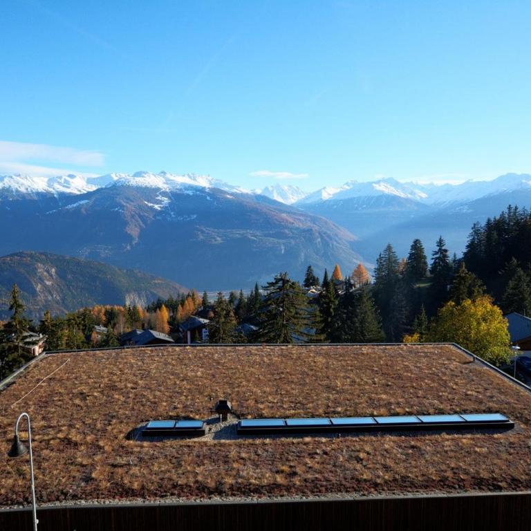 Orion 309 au centre a Anzere avec vue sur les Alpes - Apartment - 19